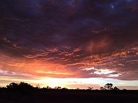 Pic-19 - Algebuckina Bridge - Oodnadatta Tk